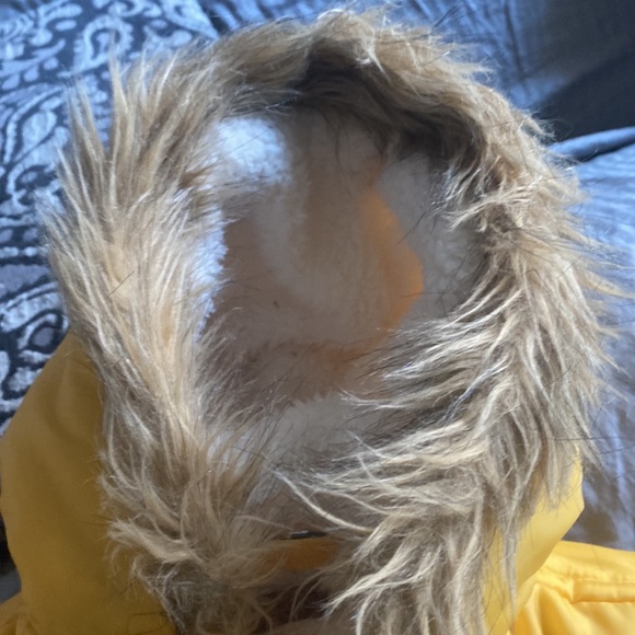 Boys 18M Yellow Jacket Coat For All Mankind 7 - Picture 5 of 11